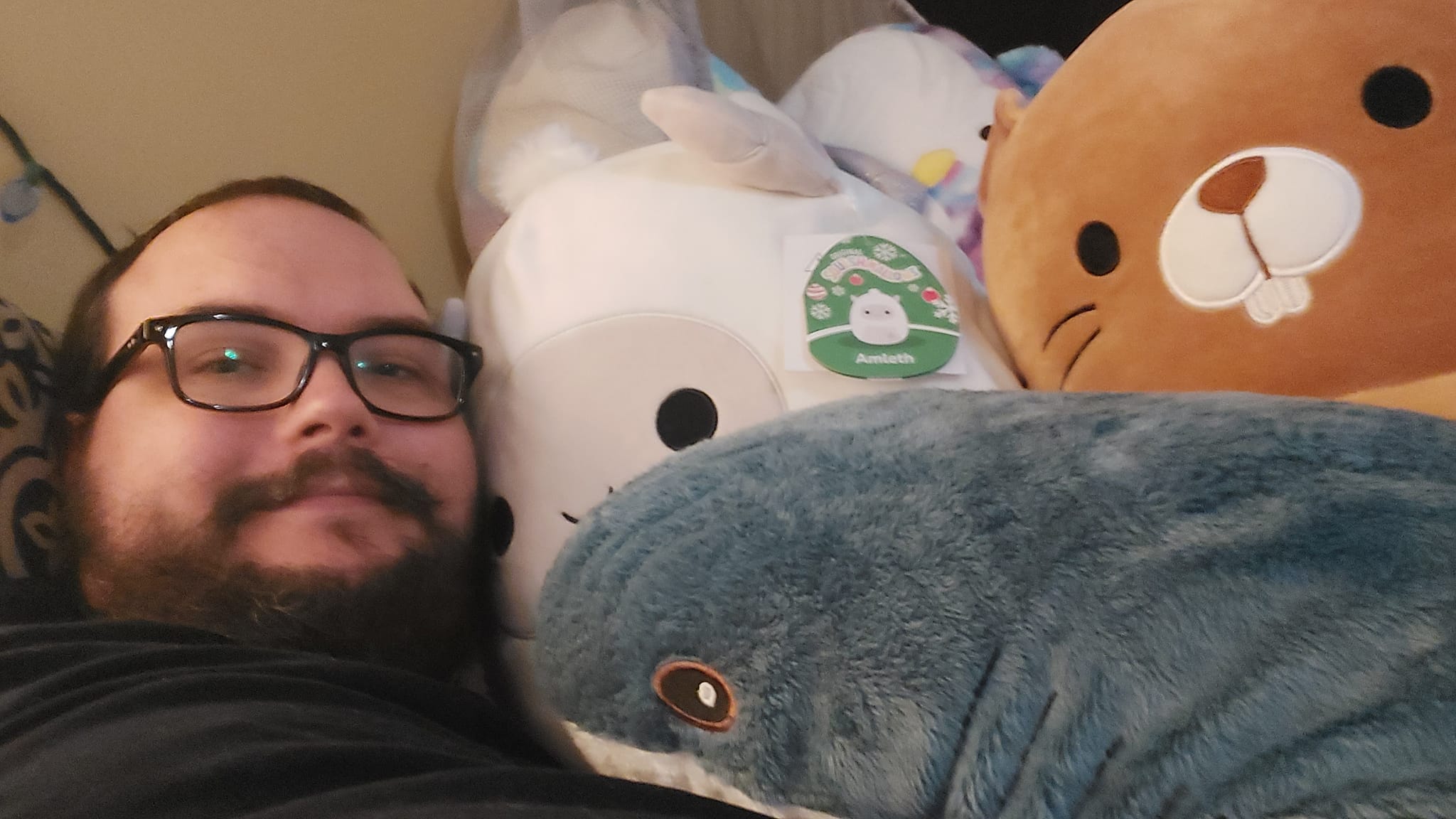 A man short hair and bushy facial hair lies in bed with a large Ikea shark and several Squishmallows